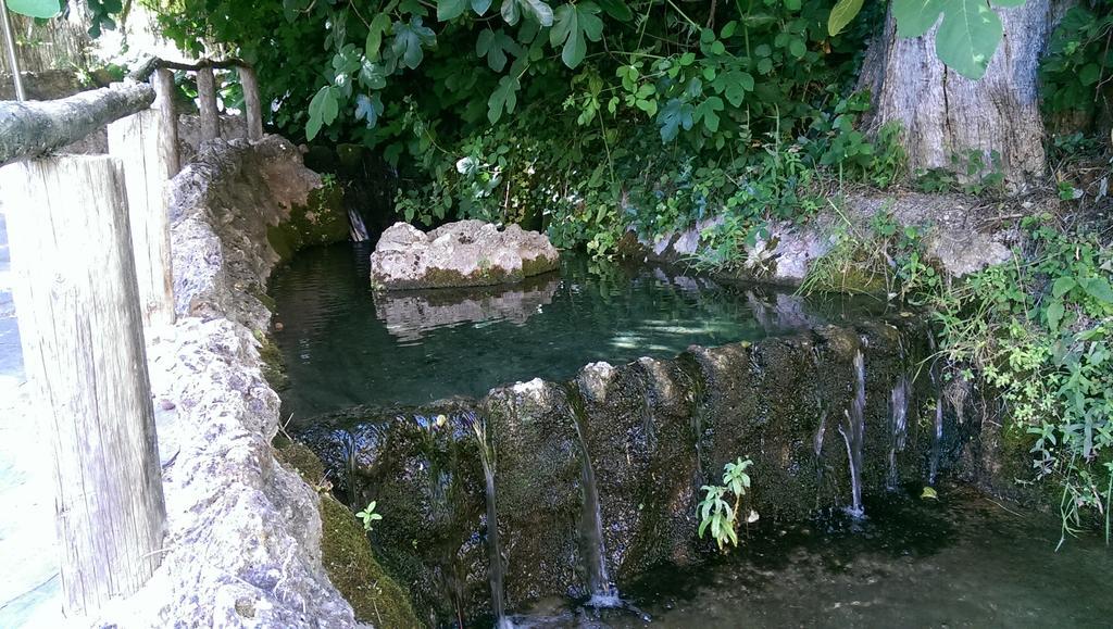 לינה וארוחת בוקר Riópar Chorros Del Rio Mundo מראה חיצוני תמונה