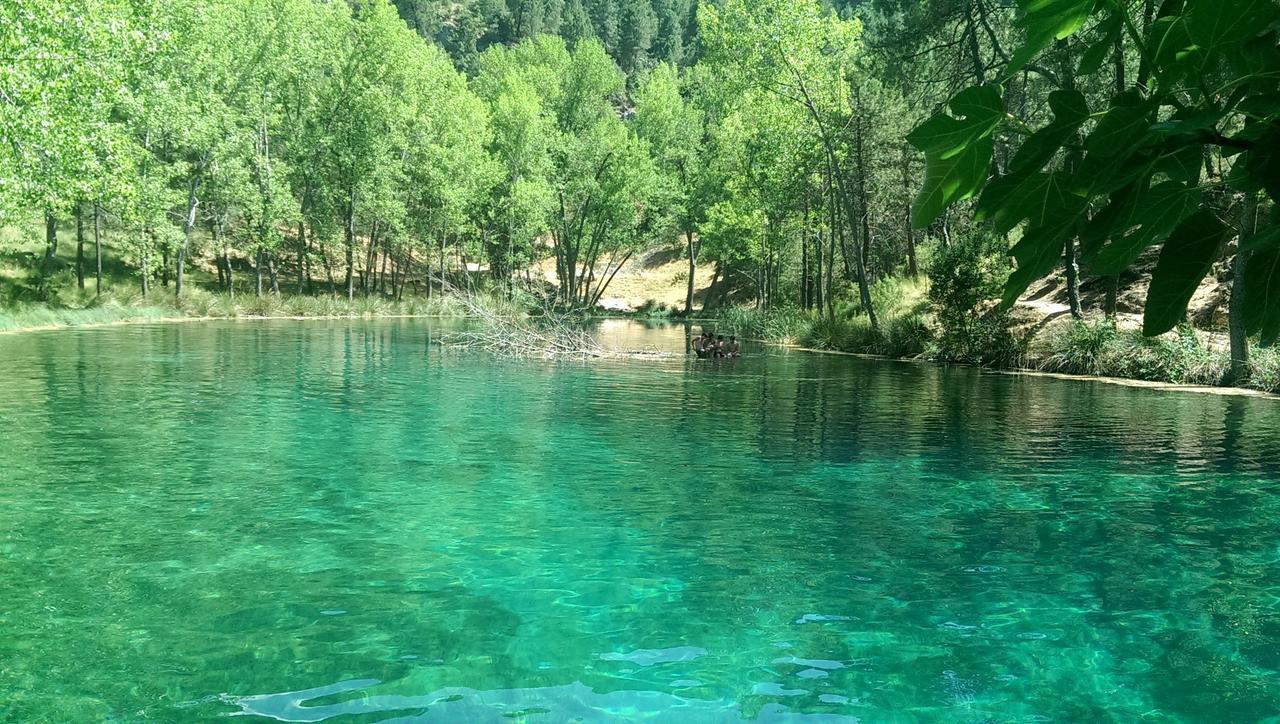 לינה וארוחת בוקר Riópar Chorros Del Rio Mundo חדר תמונה